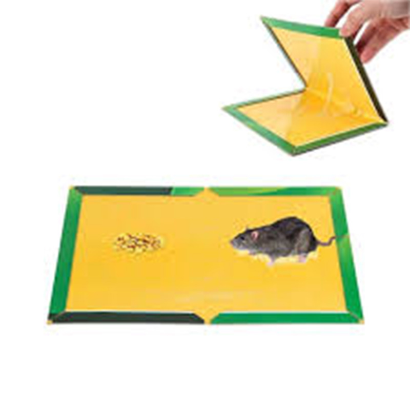 Κόλλα για ποντίκια σε φύλλο