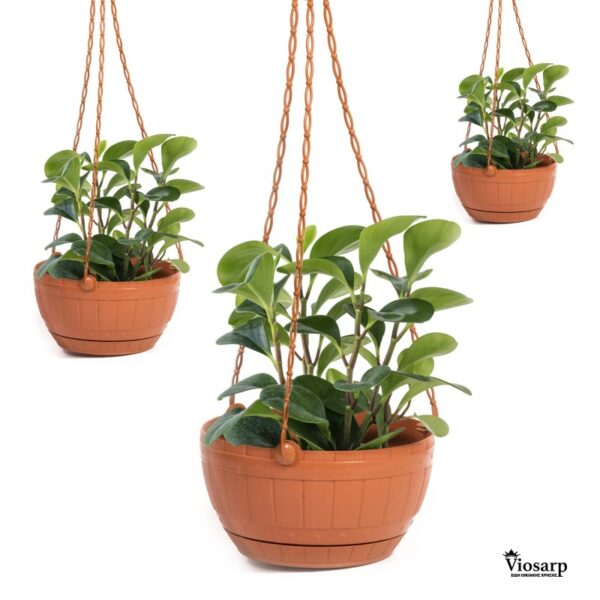 Γλάστρα κρεμαστή τύπου ξύλου