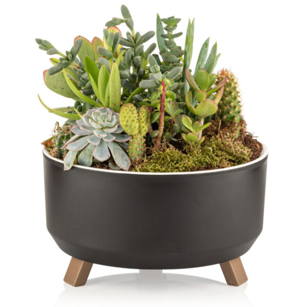 Γλάστρα τρίποδη