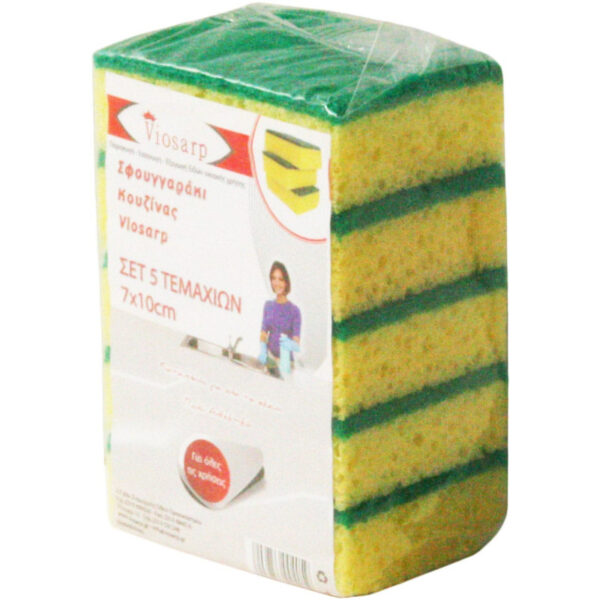 Σφουγγάρια πιάτων