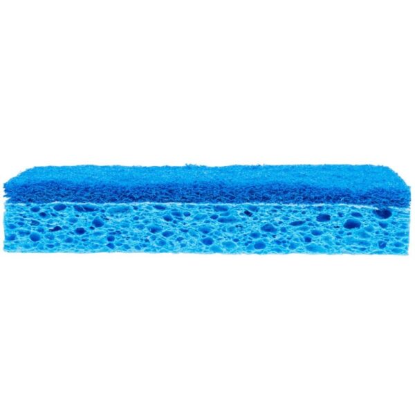 Σφουγγάρι Fiber