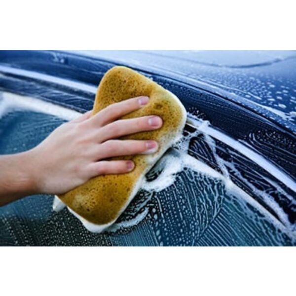 Σφουγγάρι αυτοκινήτου