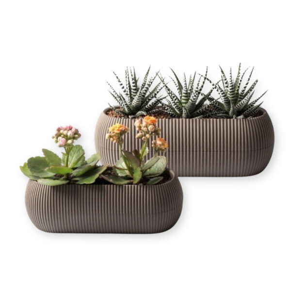 Γλαστράκι για κακτάκι οβάλ με πιατό coral 0.55L