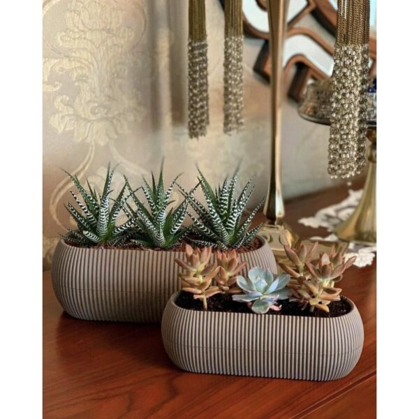 Γλαστράκι για κακτάκι οβάλ με πιατό coral 1.3L